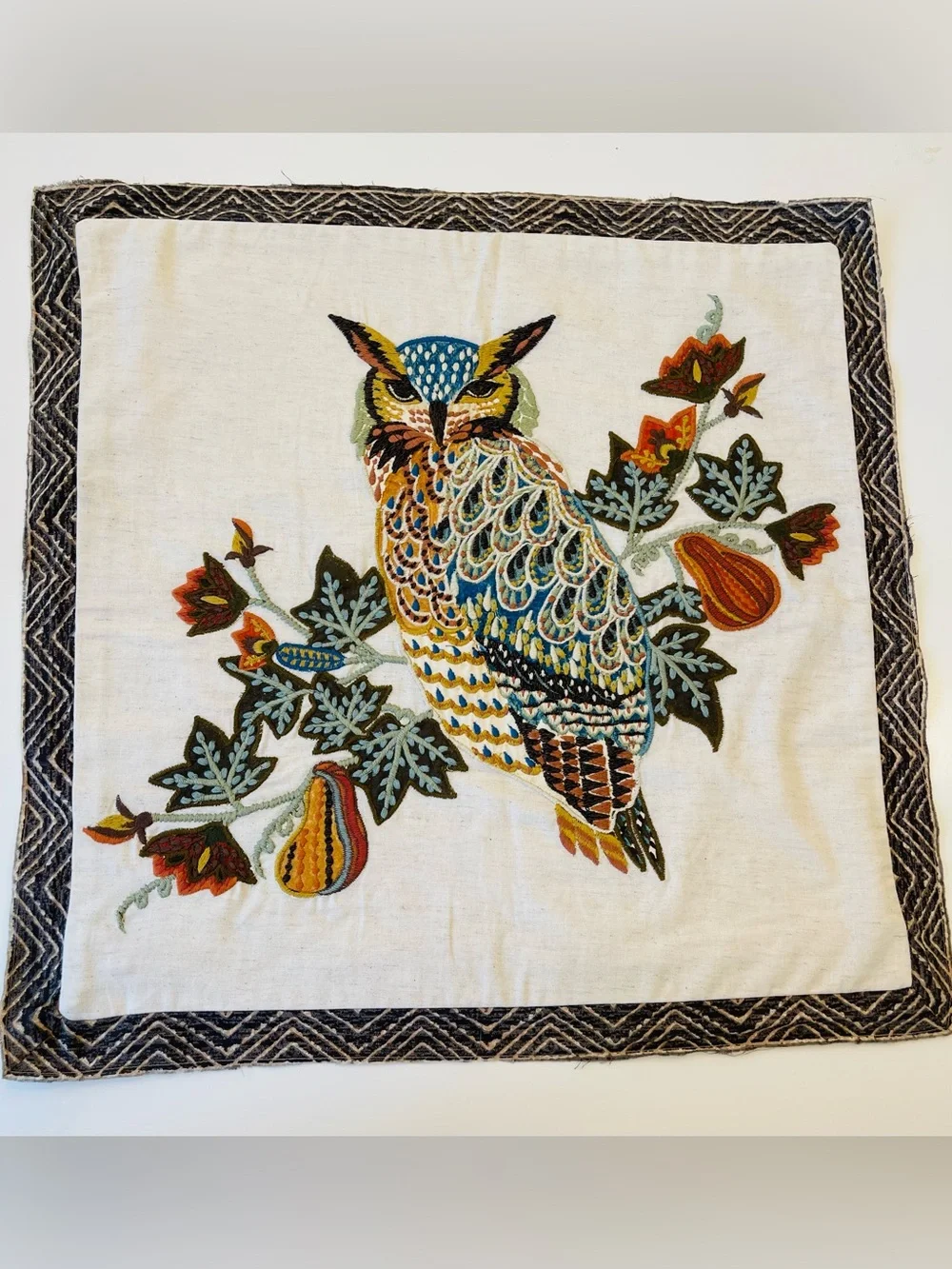 Pottery Barn Embroidered Owl (Halloween) pillow cover 20 x 20